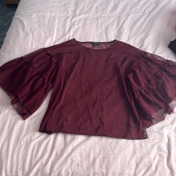 ☀️Express Sheer Top - Picture 1 of 5